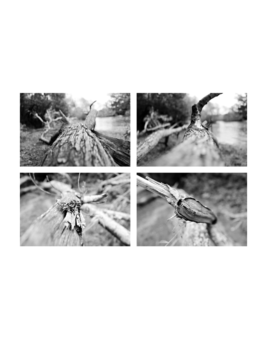 Q3LUX #01.25 – digitale momente